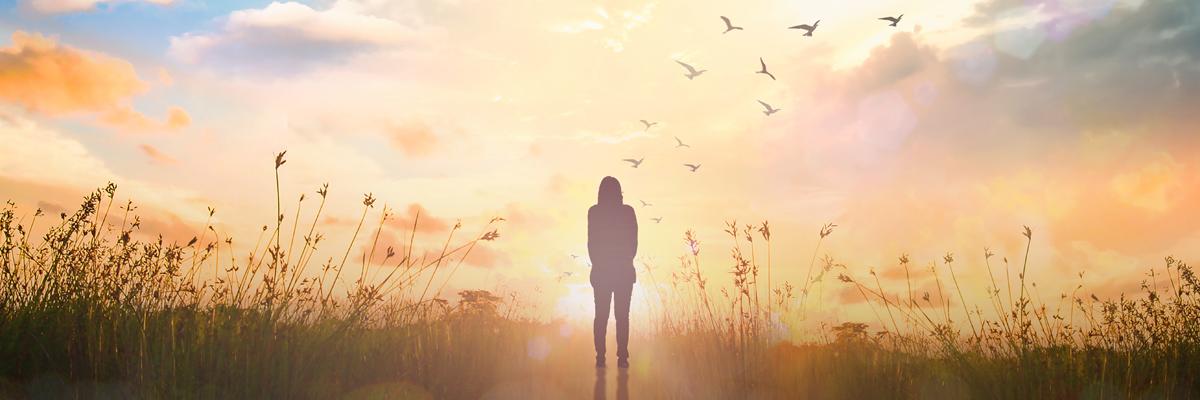 Knowledge cover image