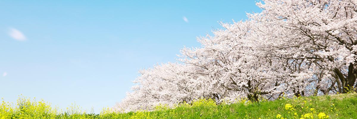 Thumbnail image for ความพยายาม