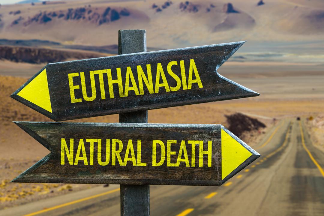 Knowledge cover image