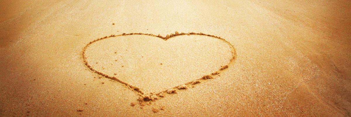 Knowledge cover image