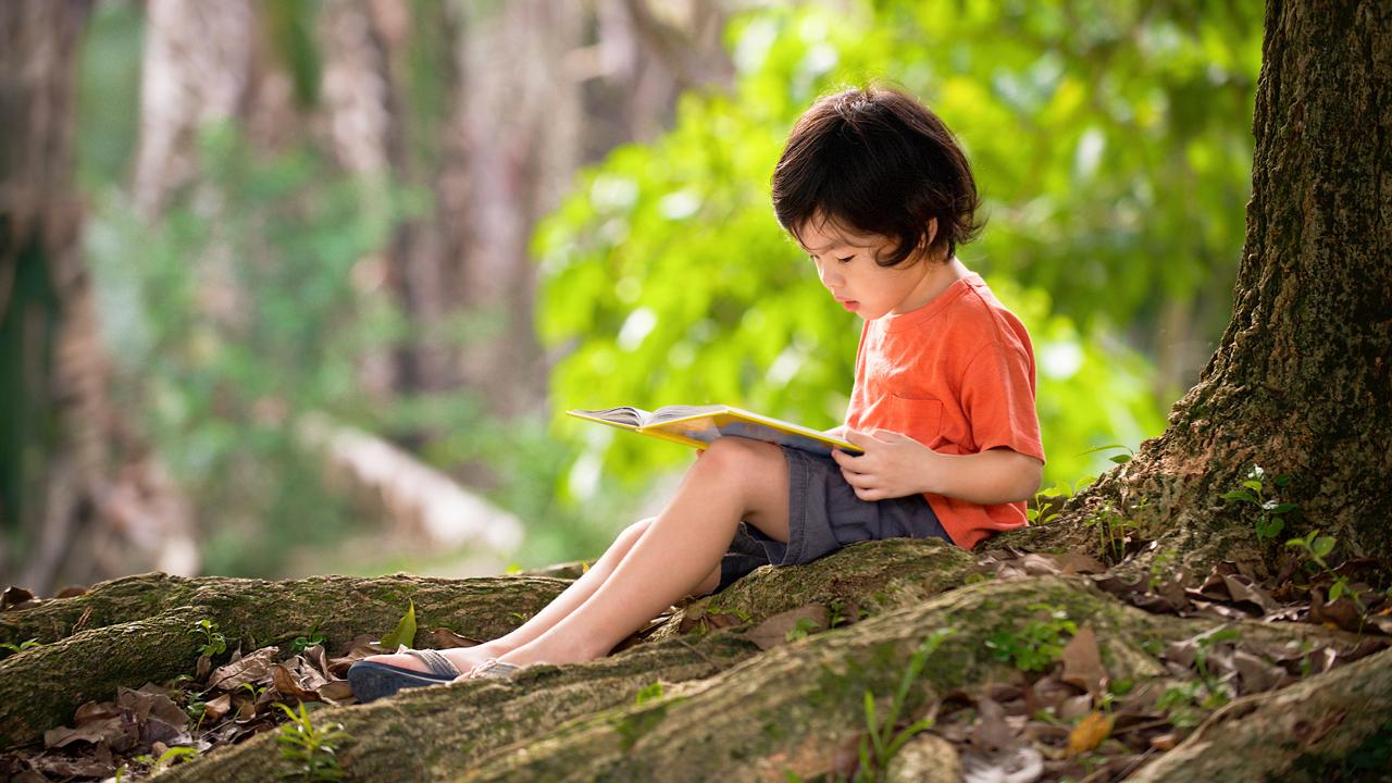 Knowledge cover image