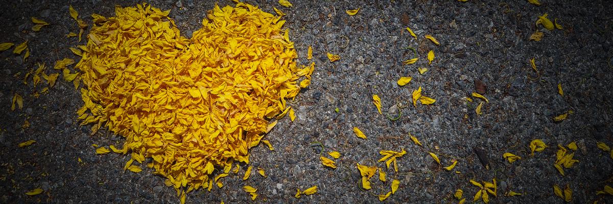 Thumbnail image for ไม่มีวันไหนที่ไม่คิดถึง