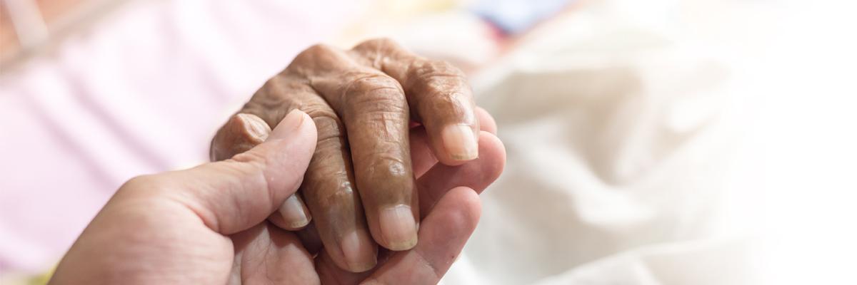 Knowledge cover image