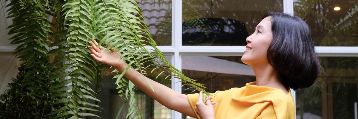 Thumbnail image for คุณภาพชีวิตและทางเลือกการตาย เริ่มต้นได้ที่การออกแบบเมือง