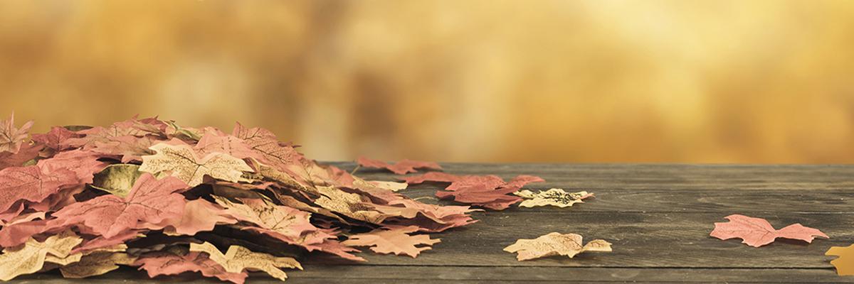 Thumbnail image for Living Will ไม่ใช่การุณยฆาต