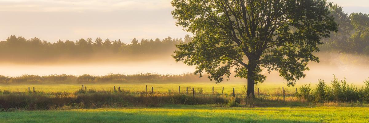 Thumbnail image for วิชาชีวิต : เตรียมลาจาก